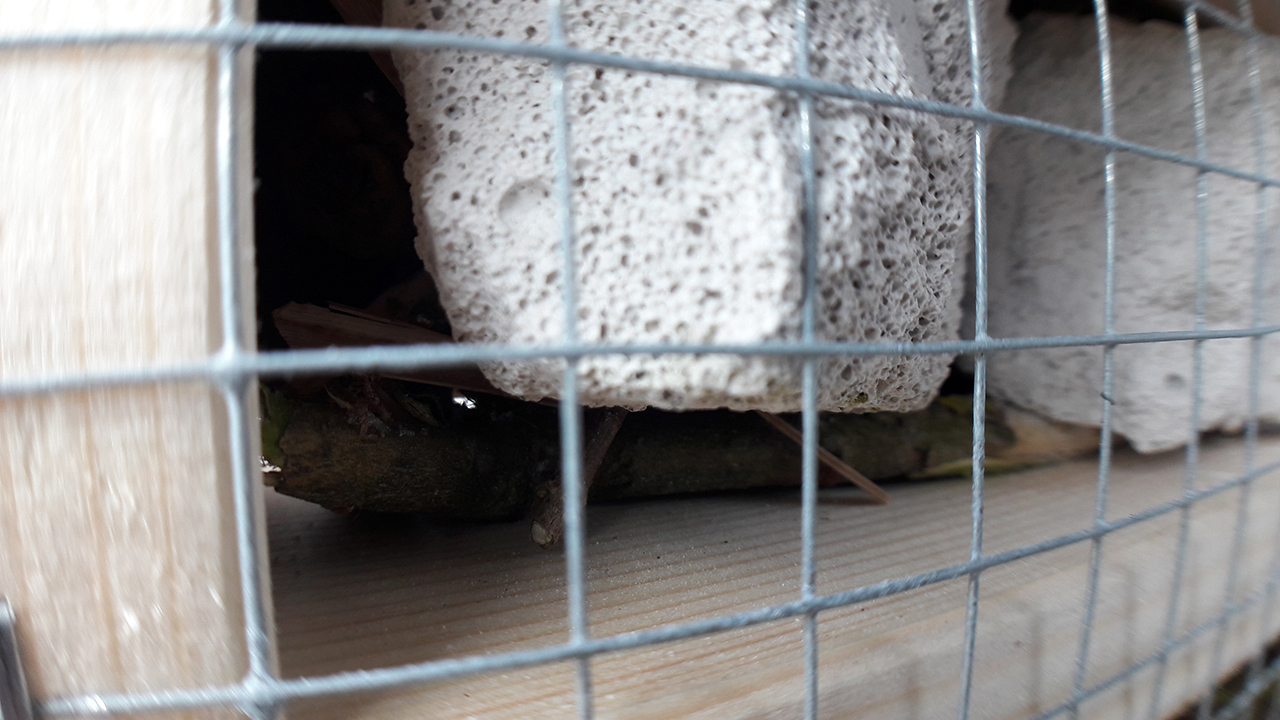 Insect Hotel Third Floor Stone Close Up